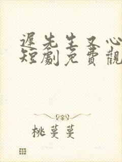 迟先生又心动了短剧免费观看