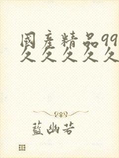 国产精品99久久久久久久久久久久