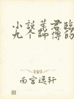 小说叶君临九十九个师傅的结局