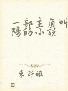 一部主角叫李正阳的小说封面