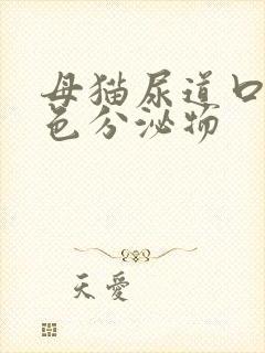 母猫尿道口有白色分泌物封面