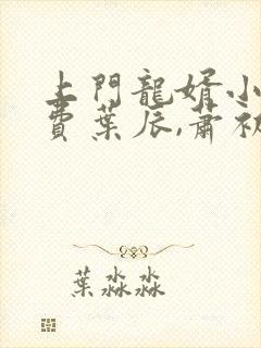 上门龙婿小说免费叶辰,萧初然