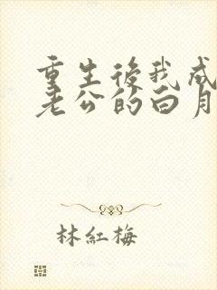 重生后我成了渣老公的白月光