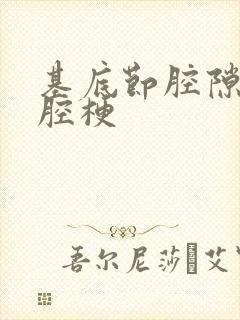 基底节腔隙性脑腔梗封面