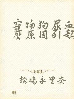 宠物狗尿血是什么原因引起的