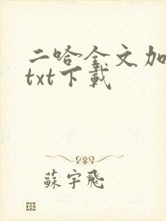 二哈全文加番外txt下载