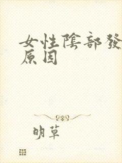 女性阴部发白的原因