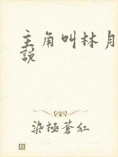主角叫林月的小说