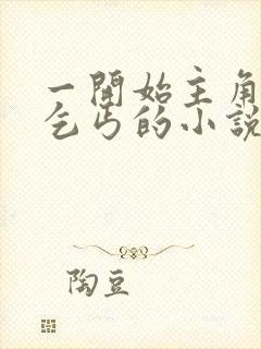 一开始主角是个乞丐的小说封面