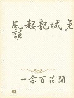 风起龙城免费小说