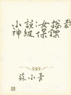 小说:女总裁的神级保镖