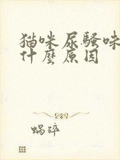 猫咪尿骚味重是什么原因封面