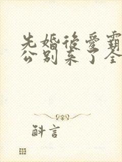 先婚后爱霸道老公别来了全文免费阅读