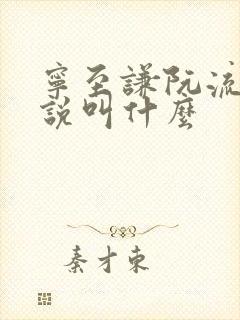 宁至谦阮流筝小说叫什么