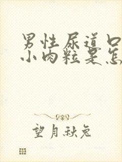 男性尿道口上有小肉粒是怎么回事