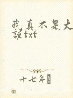 我真不是大佬小说txt封面