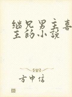 继兄男主喜欢女主的小说