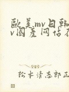 欧美mv日韩mv国产网站在线观看