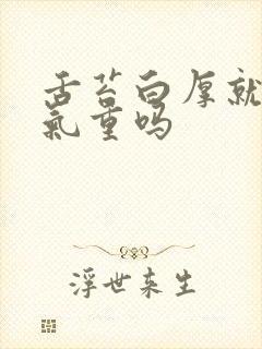 舌苔白厚就是湿气重吗