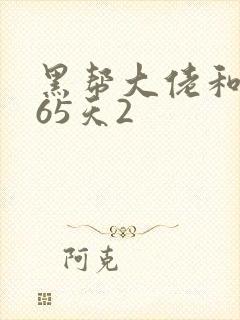 黑帮大佬和的365天2