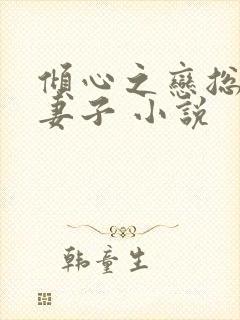 倾心之恋总裁的妻子 小说