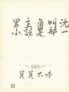 男主角叫沈浪的小说是哪一部