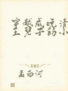 穿越成晚清恭亲王儿子的小说