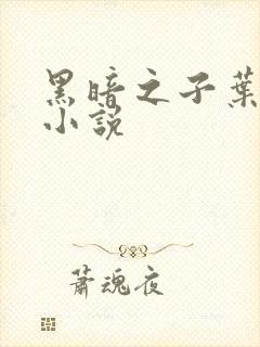 黑暗之子叶凌天小说