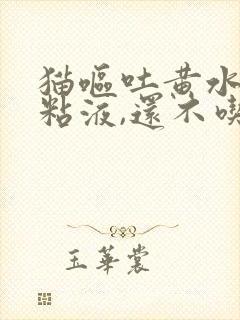 猫呕吐黄水泡沫粘液,还不吃东西在家治疗