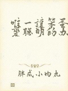 唯一让笨蛋妹妹变聪明的办法动漫