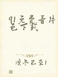 91免费看片黄色下载