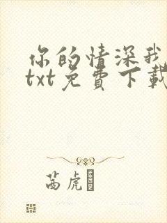 你的情深我不配txt免费下载