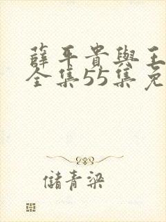 薛平贵与王宝钏全集55集免费观看封面