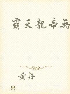 霸天龙帝无弹窗