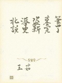 北派盗墓笔记小说更新完了吗