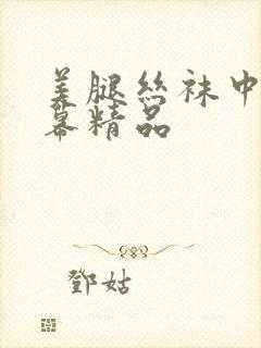 美腿丝袜中文字幕精品