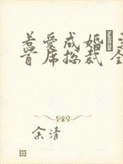 惹爱成婚·染指首席总裁 全文阅读