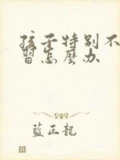 孩子特别不爱学习怎么办封面