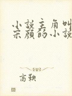 小说主角叫楚尘宋颜的小说封面