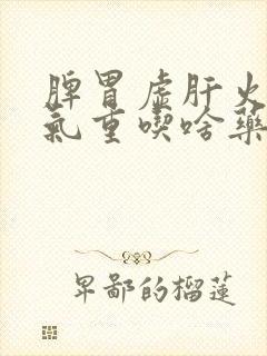 脾胃虚肝火旺湿气重吃啥药