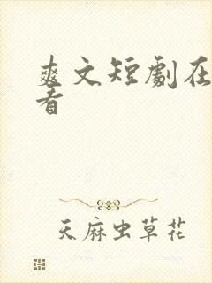 爽文短剧在线观看