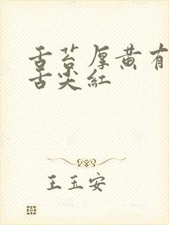 舌苔厚黄有齿痕舌尖红