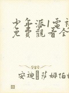 少年派1电视剧免费观看全集完整版