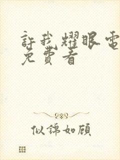 许我耀眼电视剧免费看