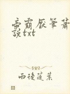 帝霸厌笔萧生小说txt