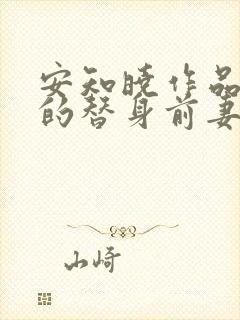 安知晓作品总裁的替身前妻