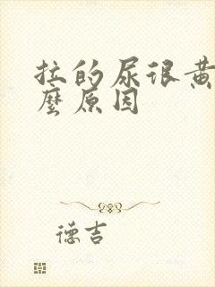 拉的尿很黄是什么原因