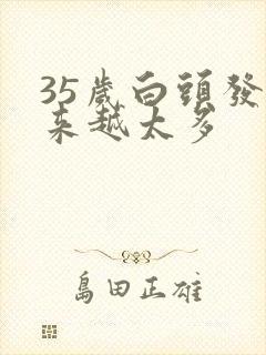 35岁白头发越来越太多封面