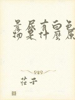 晨尿有白色絮状物是什么原因