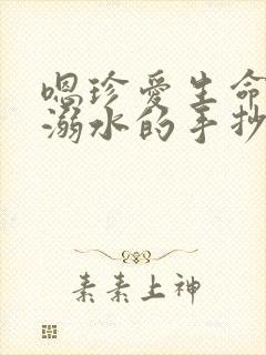 嗯珍爱生命预防溺水的手抄报